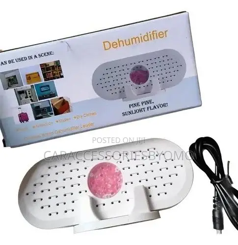 Portable Mini Rechargeable Dehumidifier