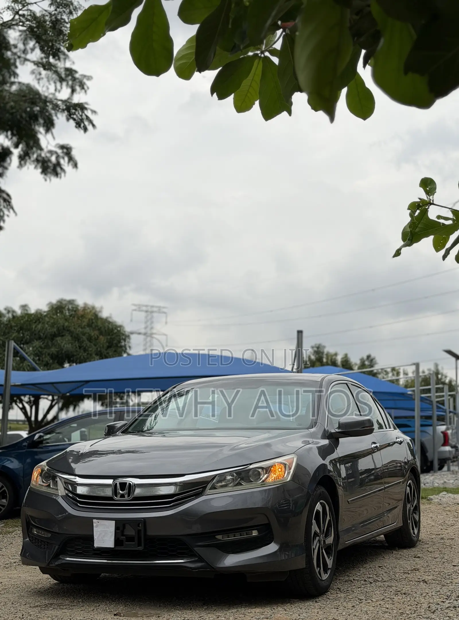 Honda Accord EX-L 4dr Sedan FWD (2.4L 4cyl 2A) 2016 Gray