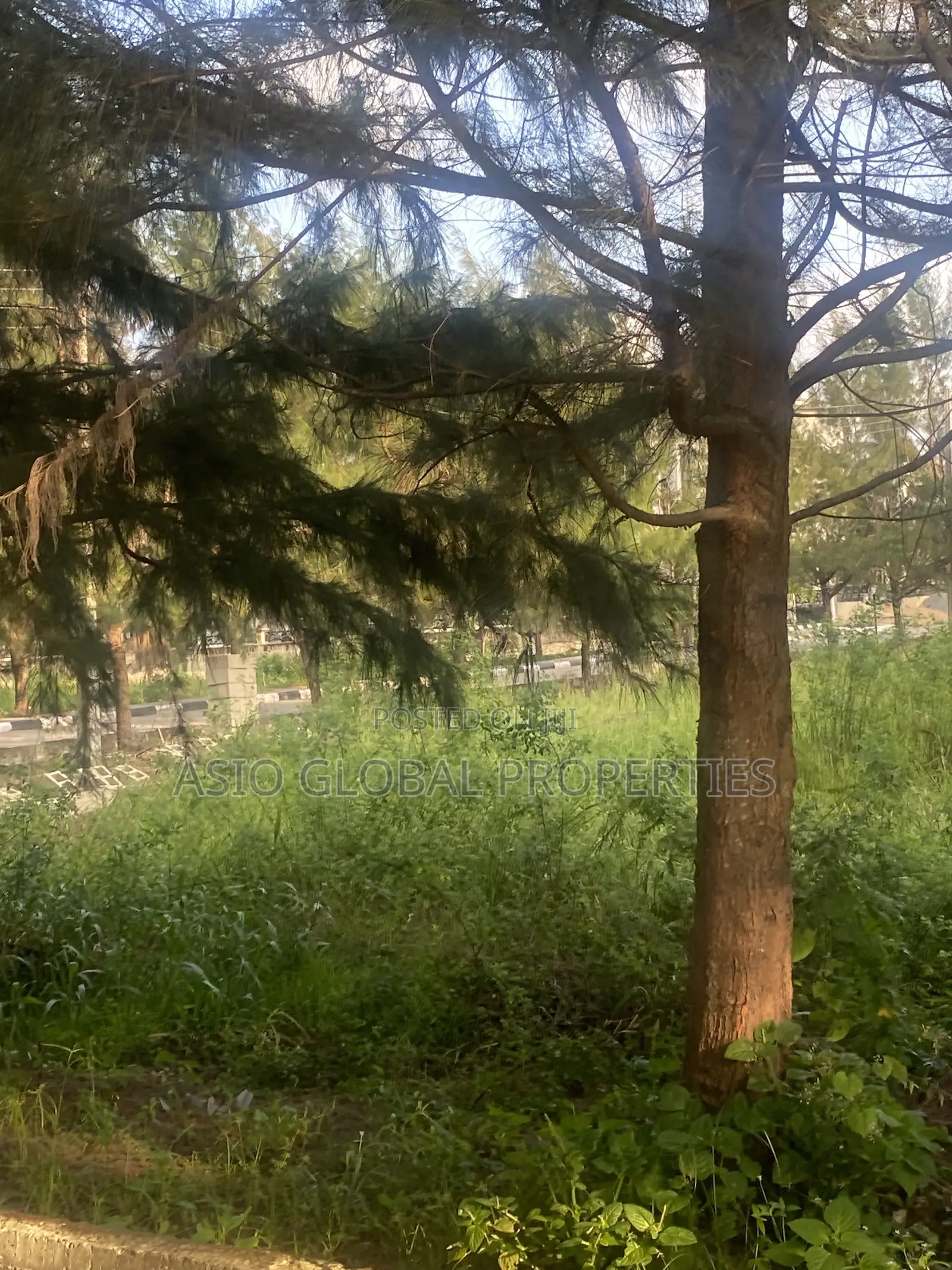 Plot of Lands in a Fully Developed Estate