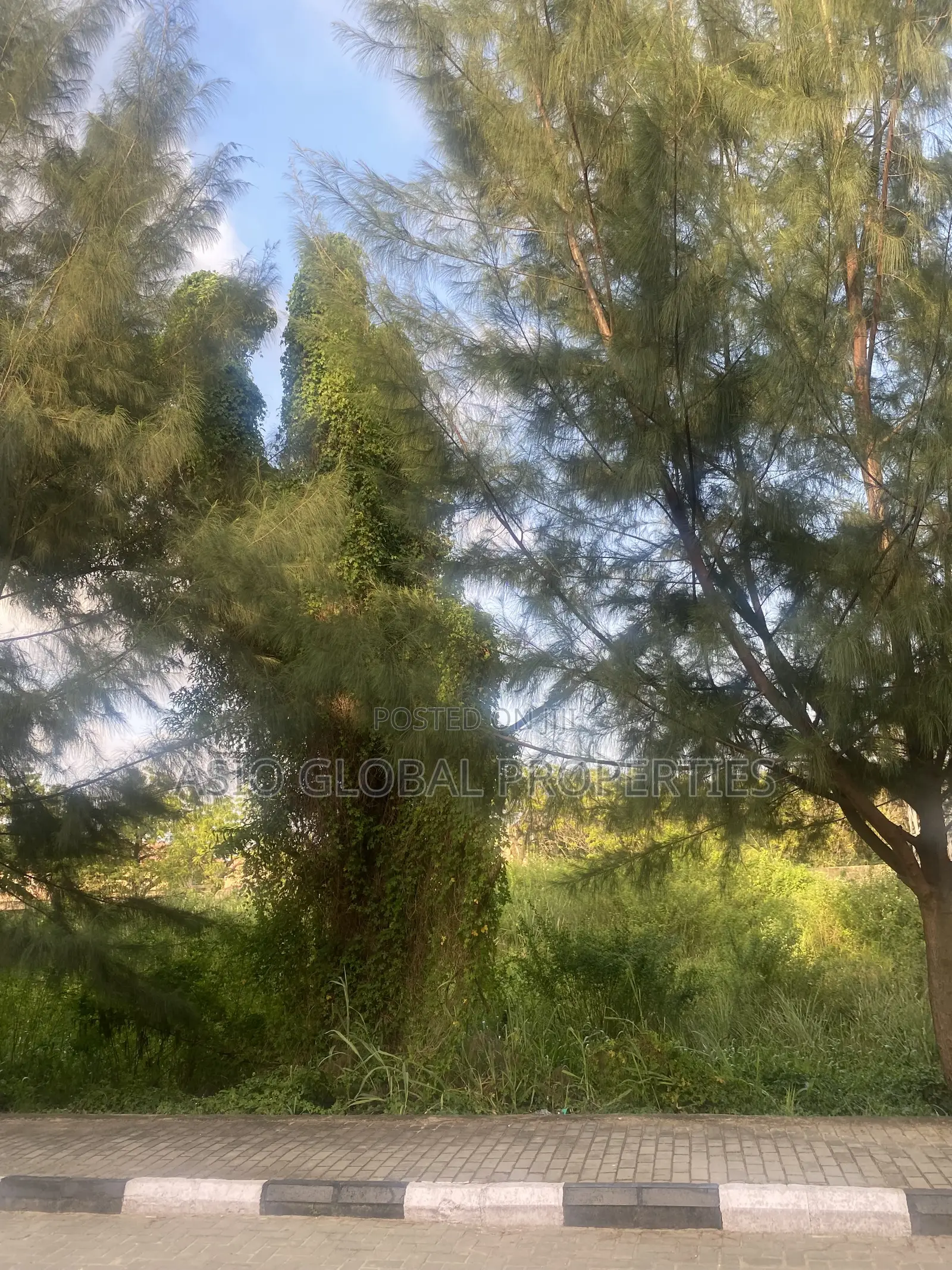 Plot of Lands in a Fully Developed Estate