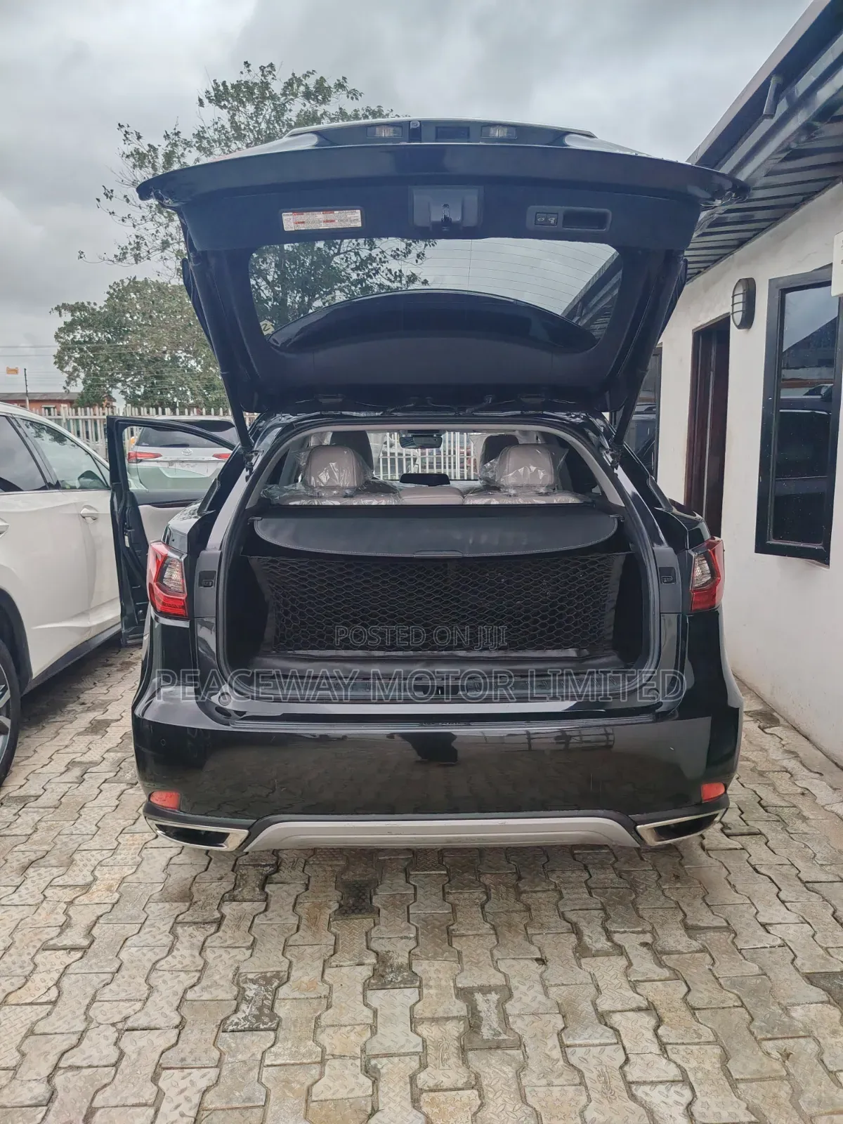 Lexus RX 2022 Blue