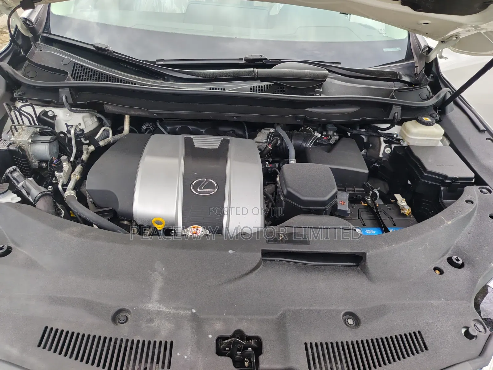 Lexus RX 2019 White