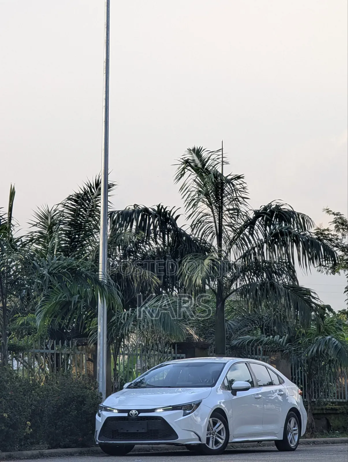 Toyota Corolla 2022 White