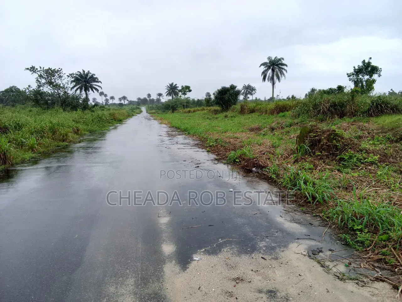 Land for Sale in Koroma, Near (Fuet) University,koroma Campus