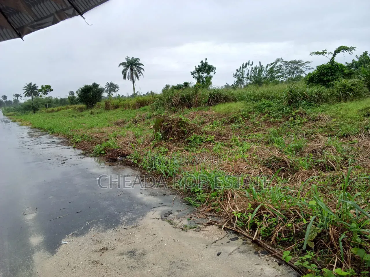 Land for Sale in Koroma, Near (Fuet) University,koroma Campus