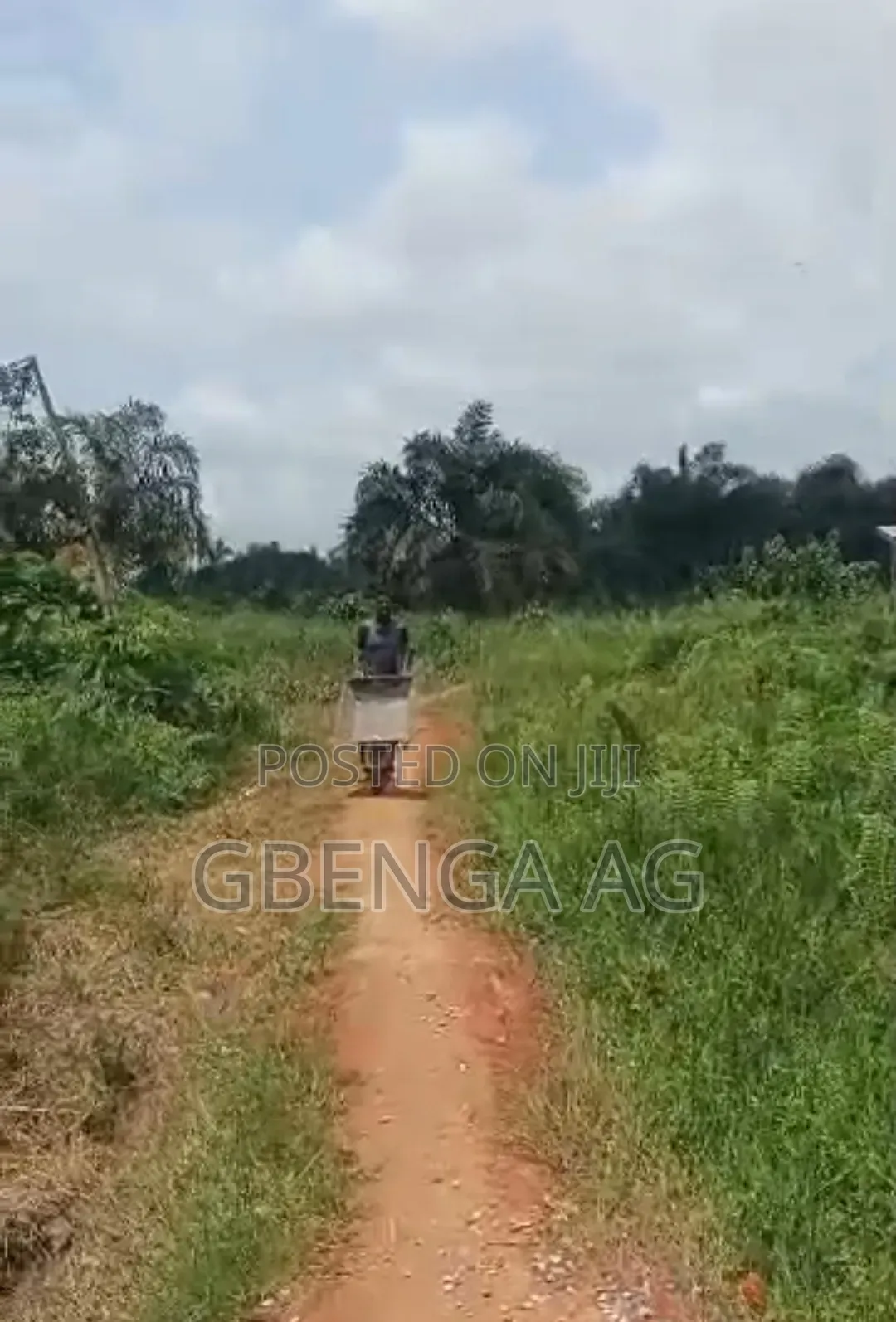 56 Acres of Farmland With Cocoa and Orange Plantation for Sale