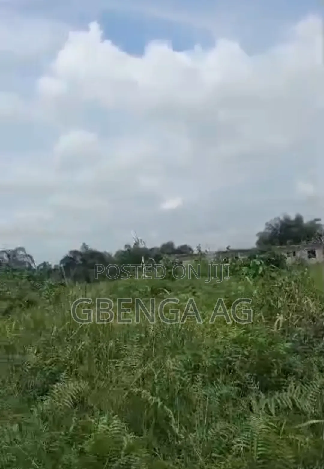 56 Acres of Farmland With Cocoa and Orange Plantation for Sale