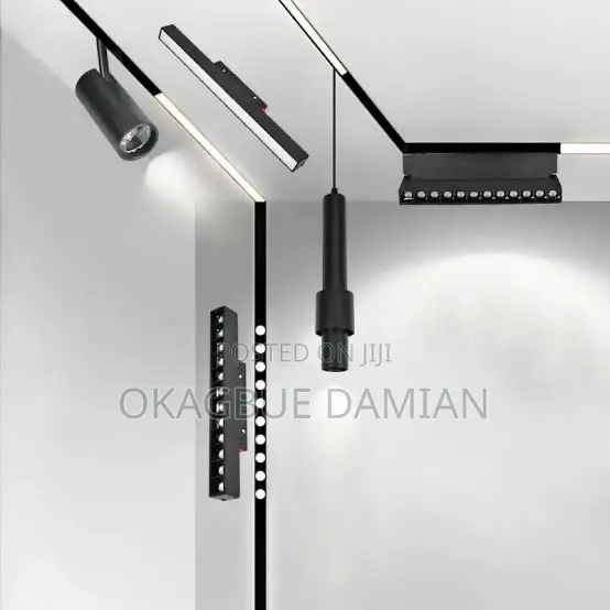 Magnetic Profile Light