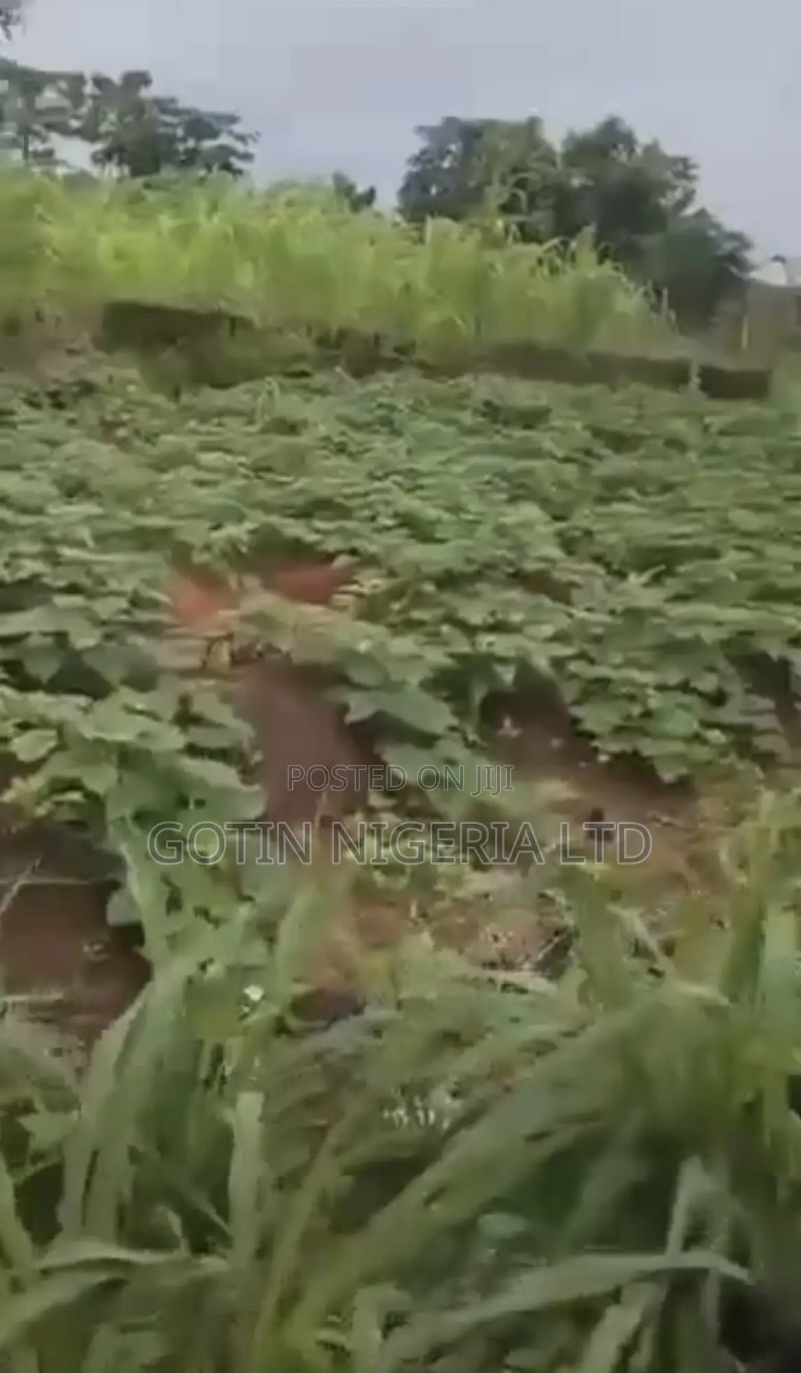3bdrm Block of Flats in Gotin Nigeria Ltd, Benin City for sale