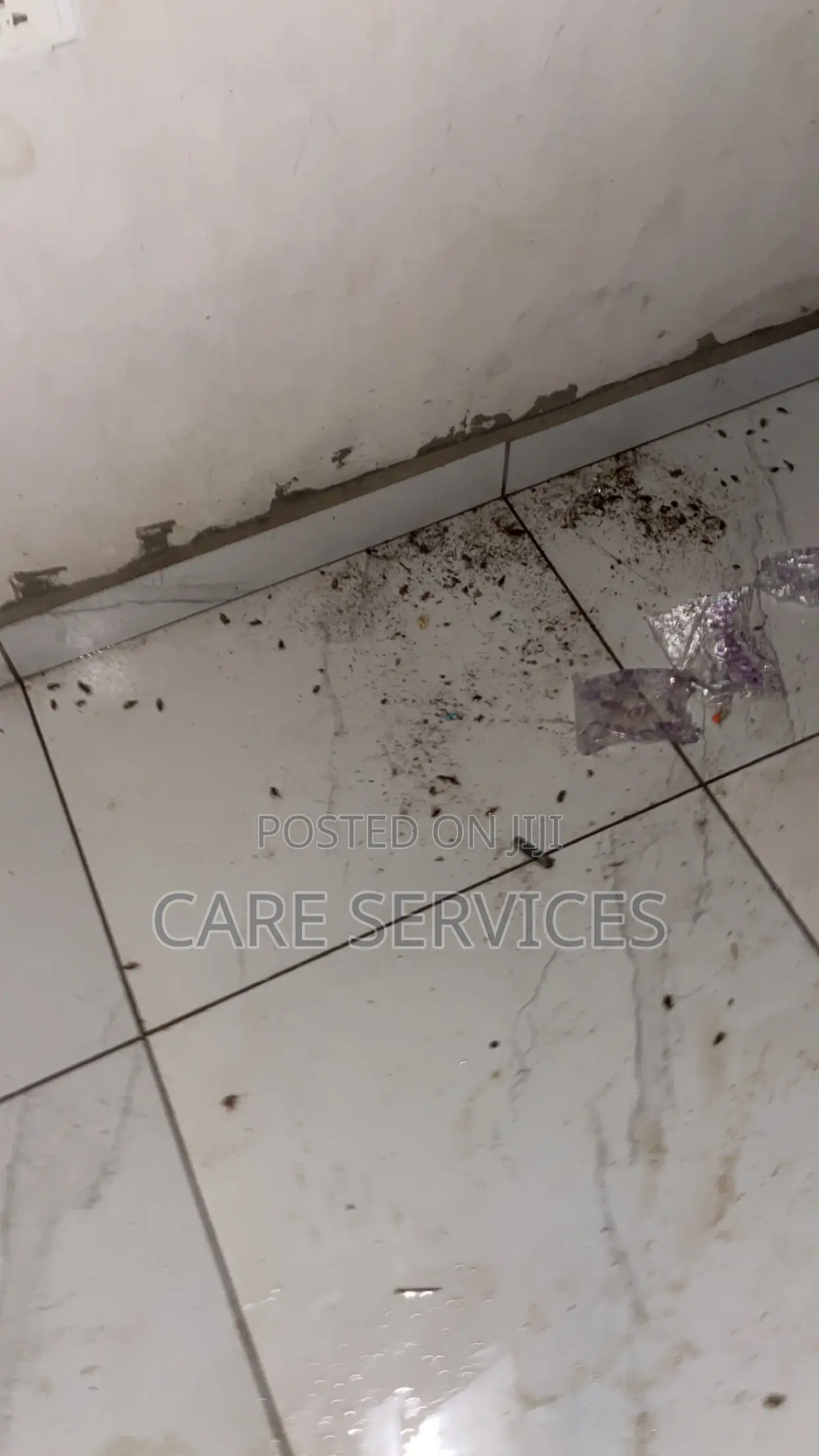 Lagos Best Fumigation Services