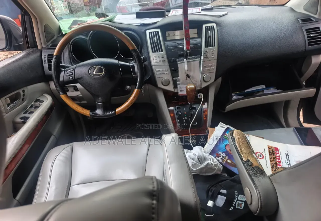 Lexus RX 2009 Gray