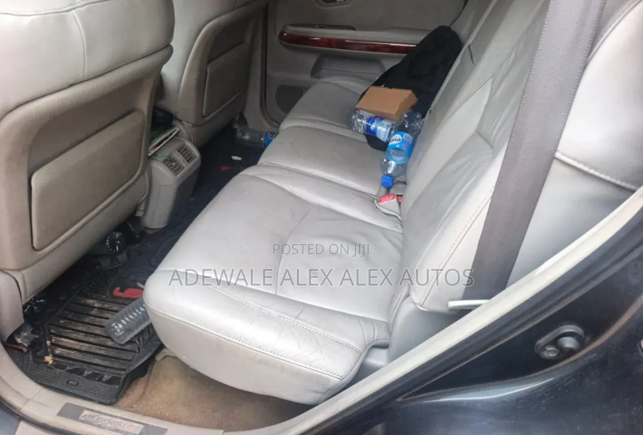 Lexus RX 2009 Gray