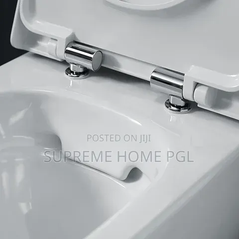 High Quality Geberit Selnova Square Floor-Standing WC
