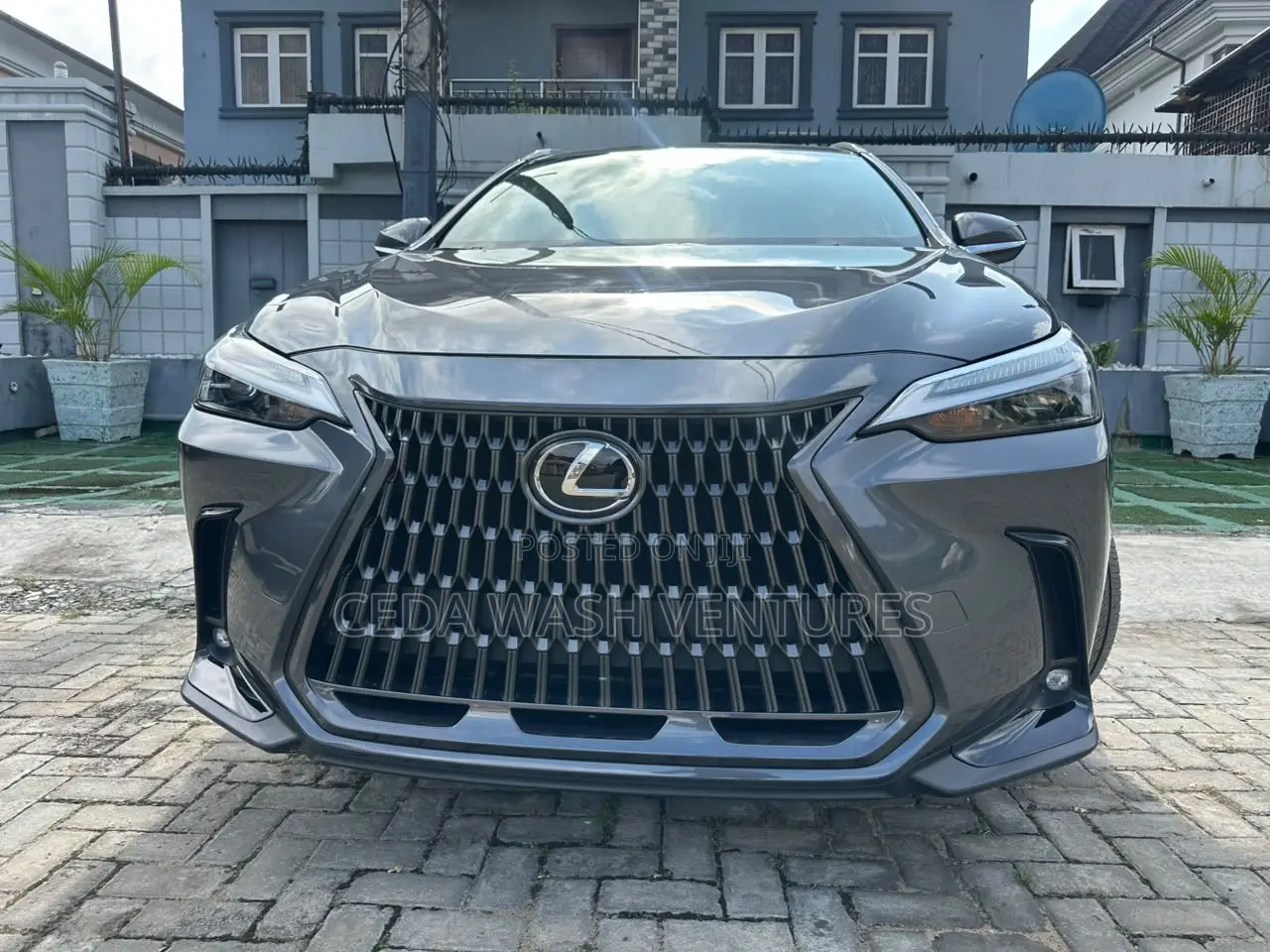 Lexus NX 350 AWD 2024 Gray
