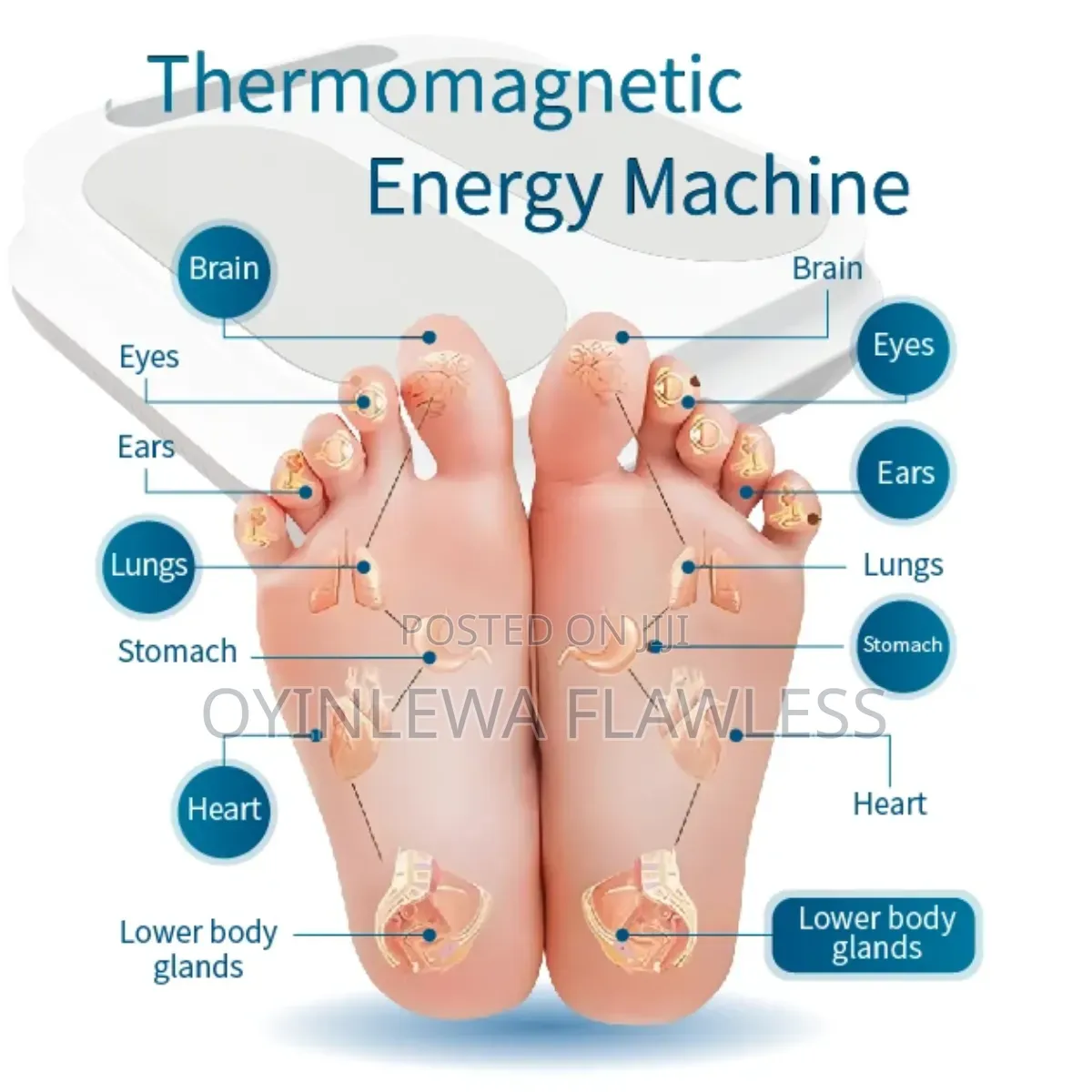 Olylife-P90Puls+ Terahertz Quantum Energy Healing Device
