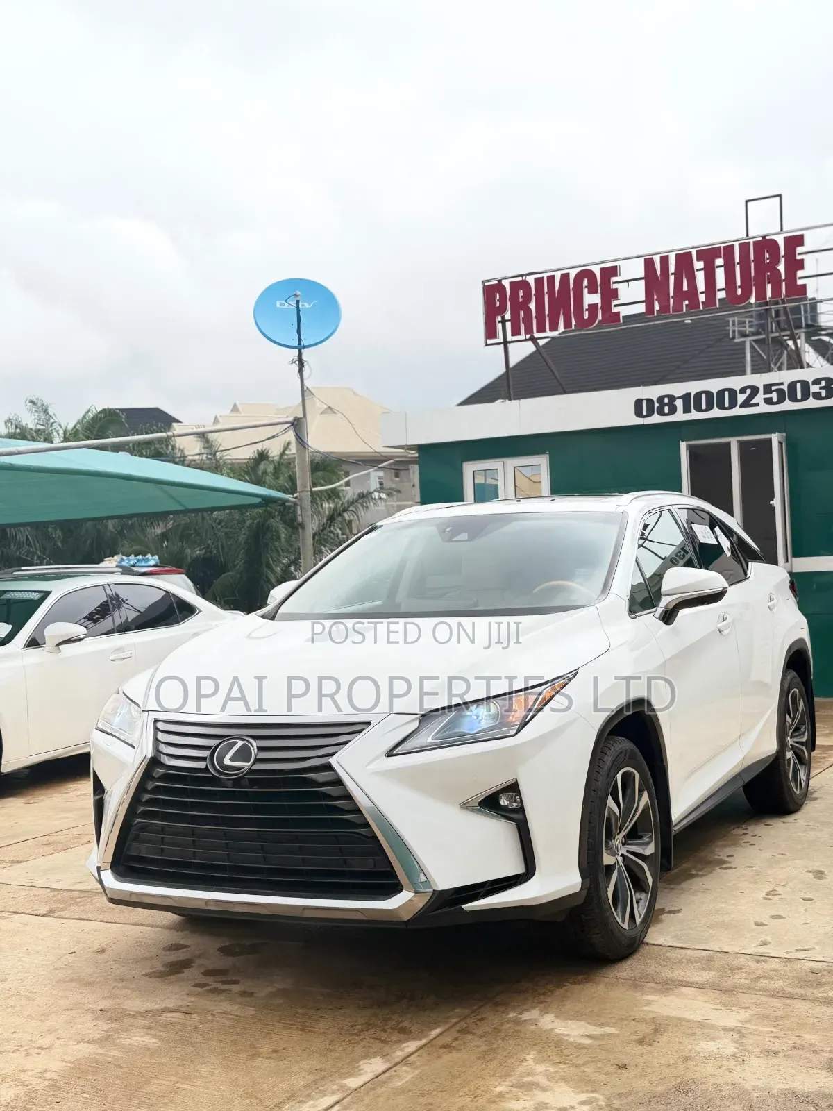 Lexus RX 2019 White