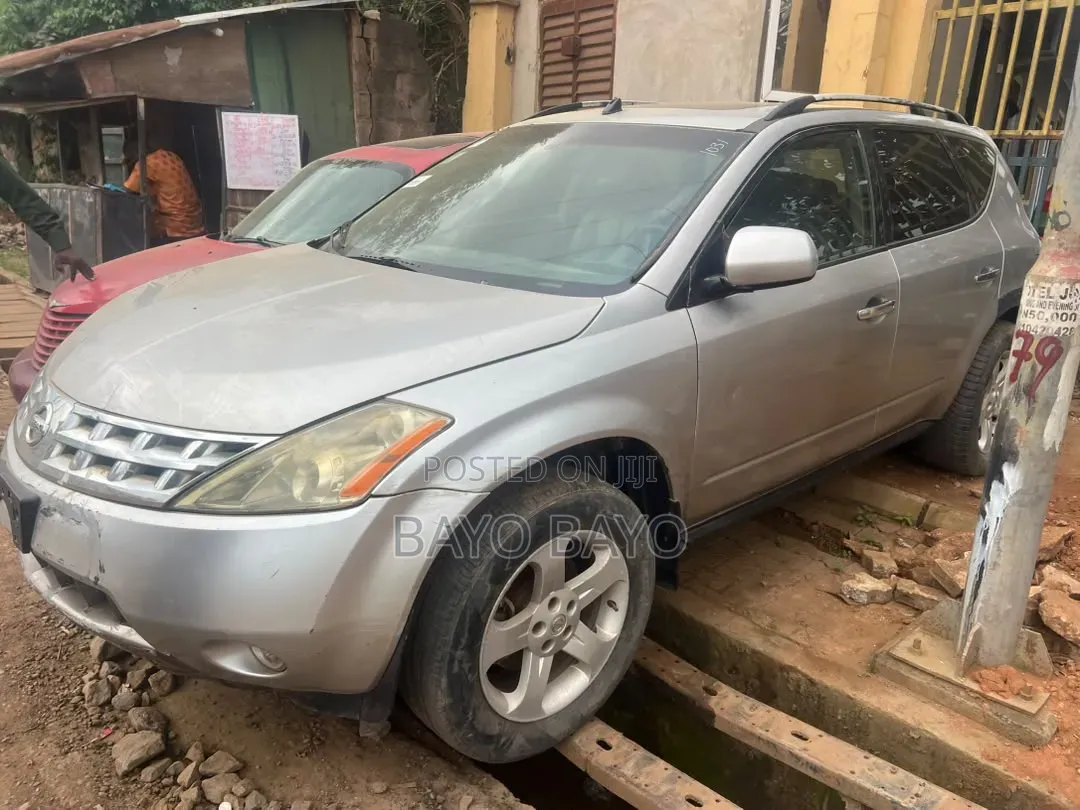 Nissan Murano 2005 Gray