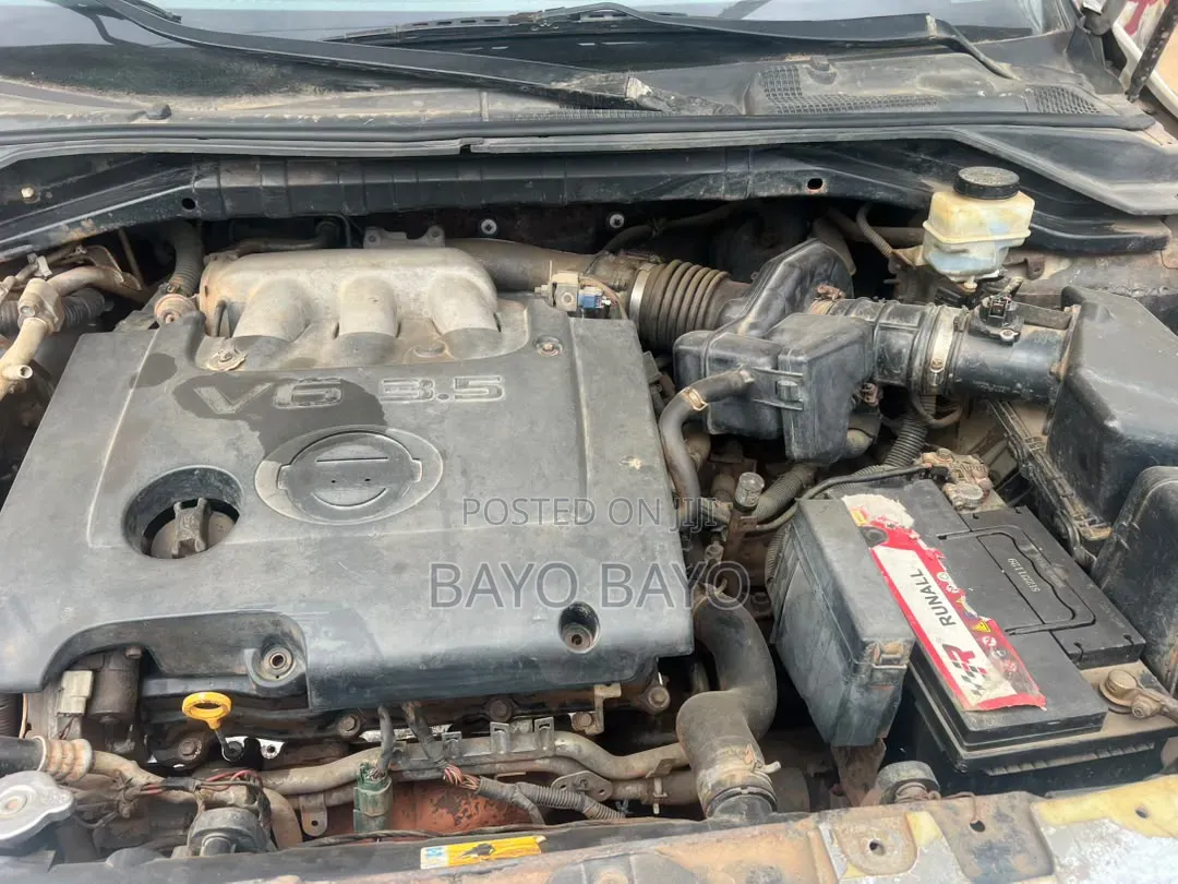 Nissan Murano 2005 Gray