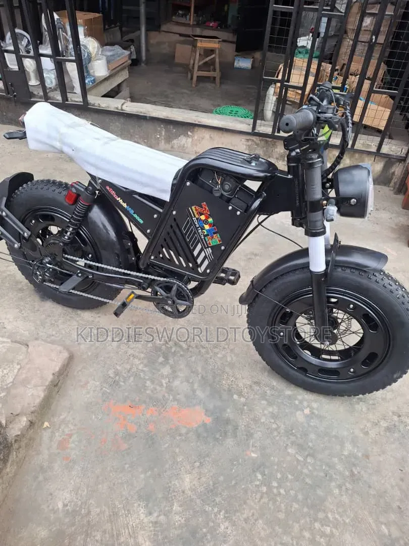 Adult Electric SUV Bike Fat Tyre