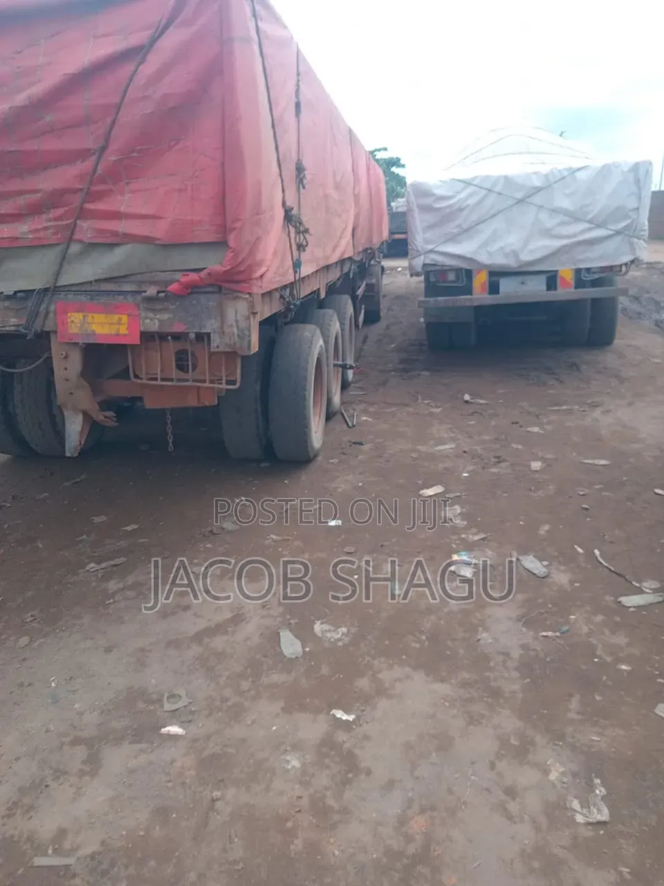 Shagu Ventures Is a Reliable Distributor of Dangote BUA and Lafarge