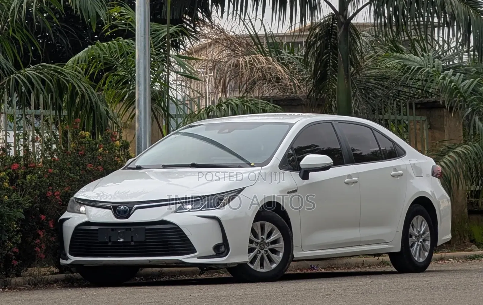 Toyota Corolla 2022 White