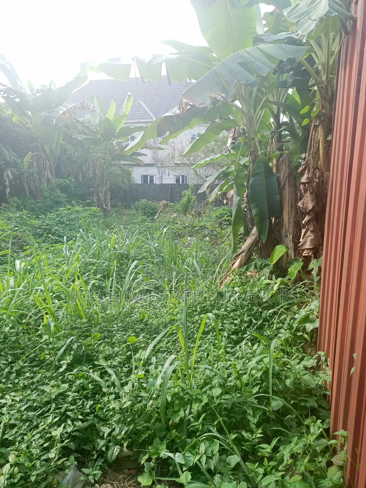 Two Plots of Land