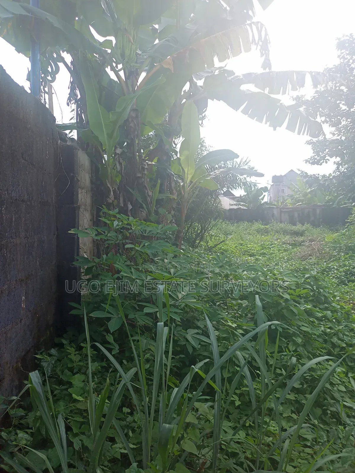Two Plots of Land