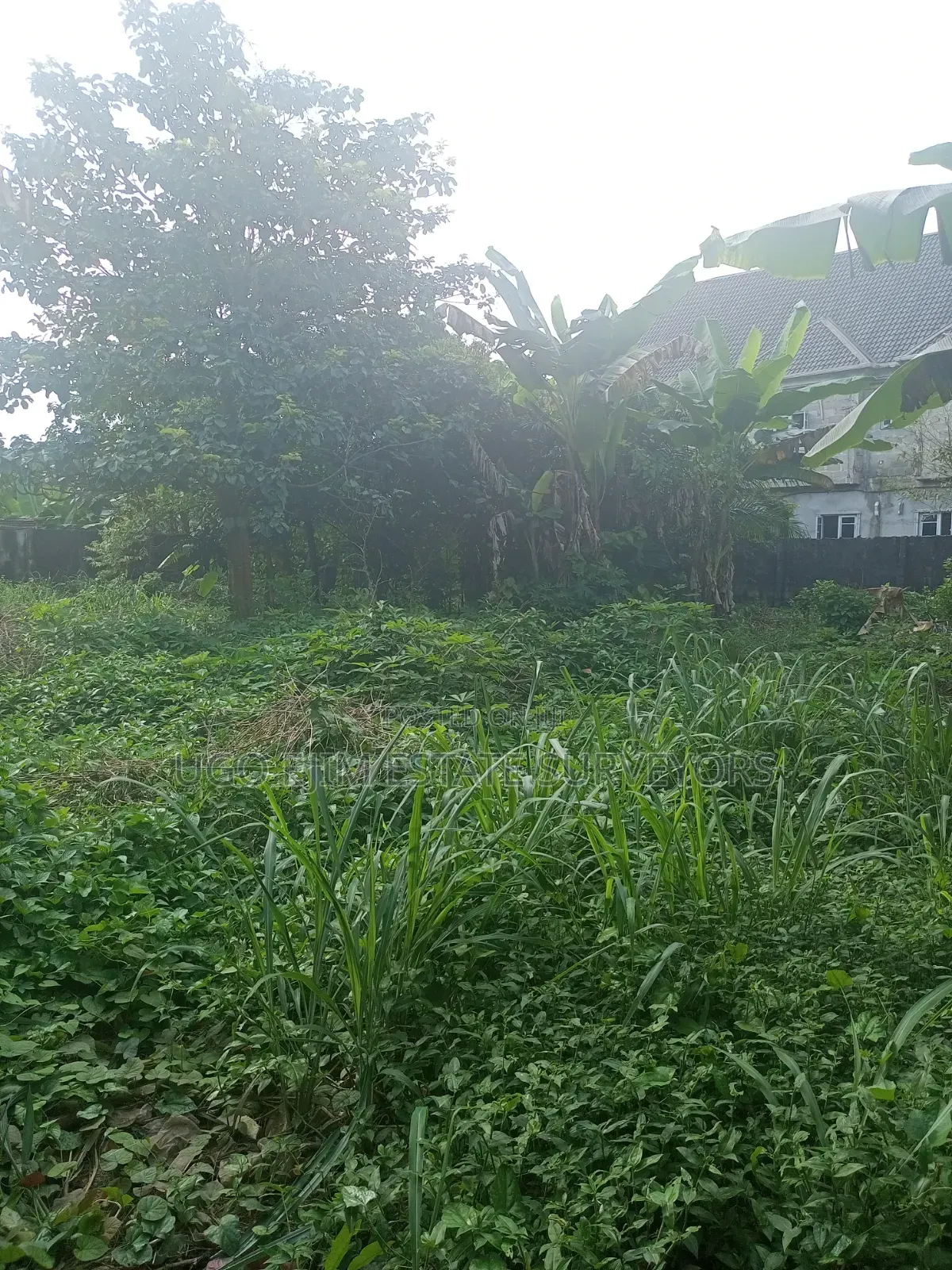 Two Plots of Land