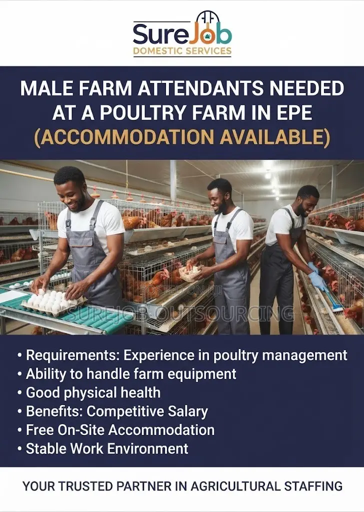 Male Farm Attendants Needed at a Poultry Farm in Epe