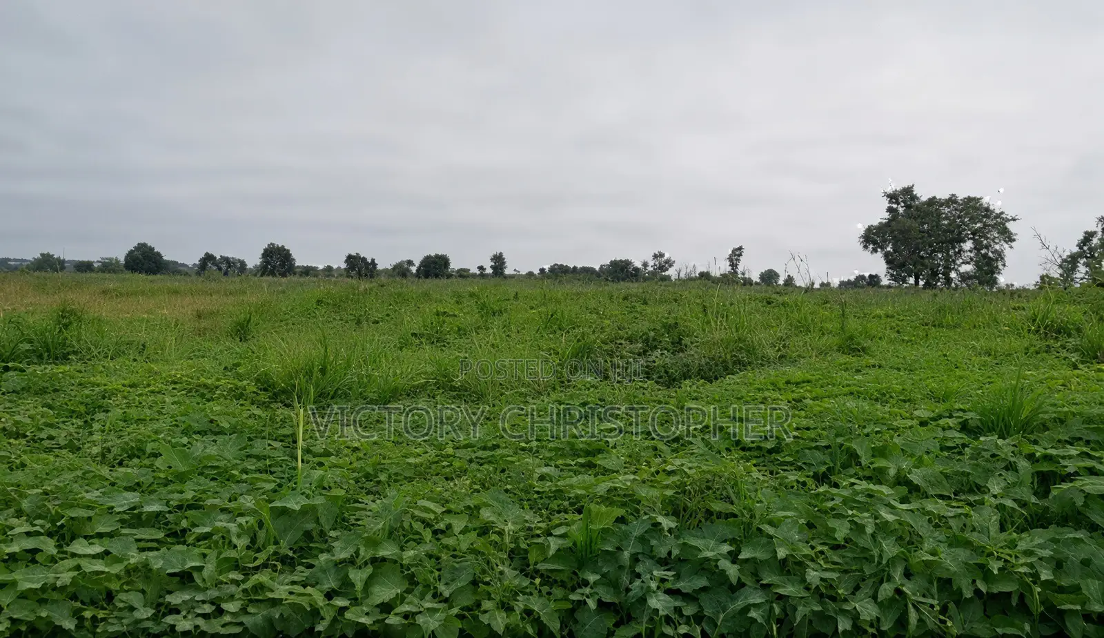 5 Hectares Comprehensive Land