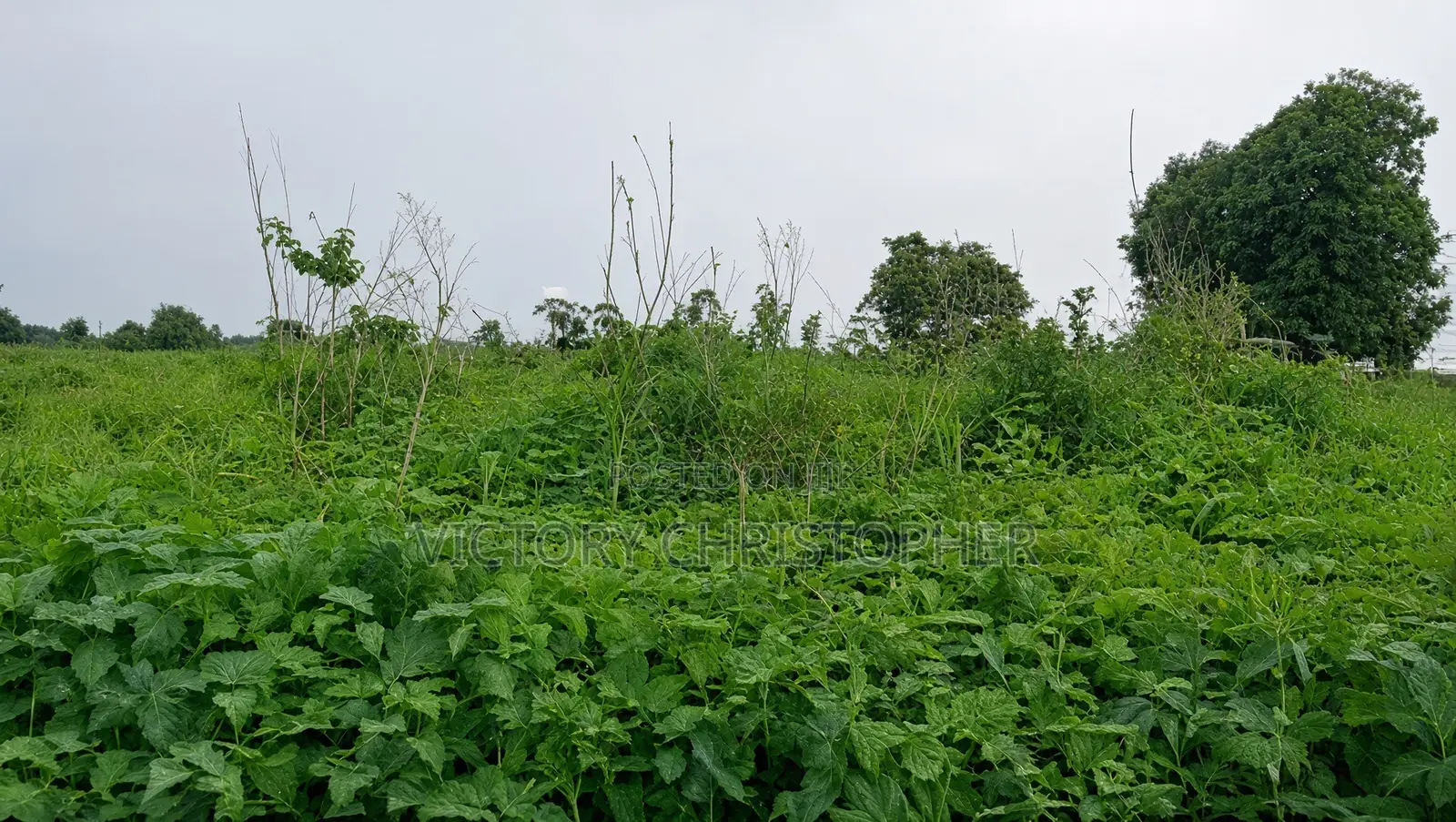 5 Hectares Comprehensive Land