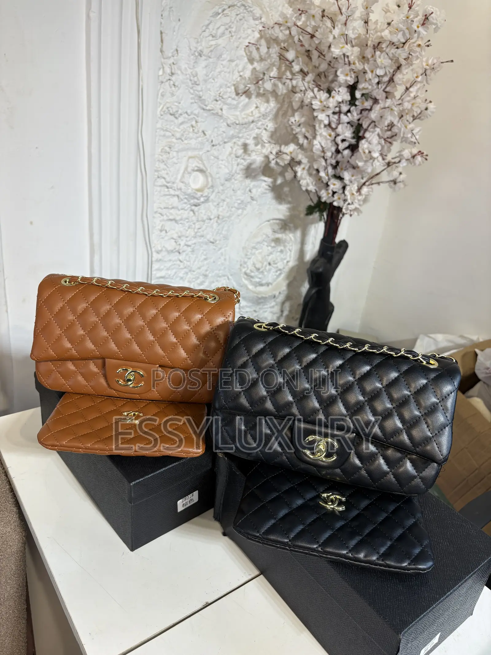 Chanel Bag With Purse