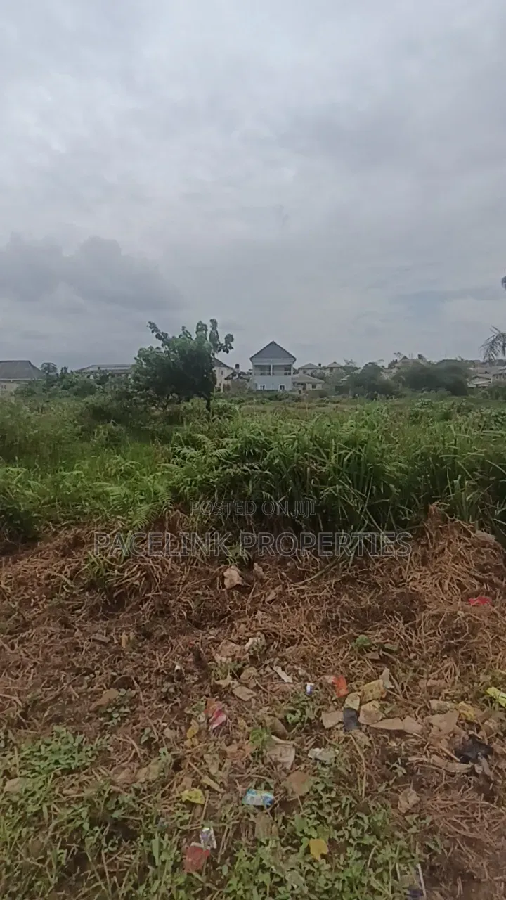 Cheap Full Plot of Land for Sale!