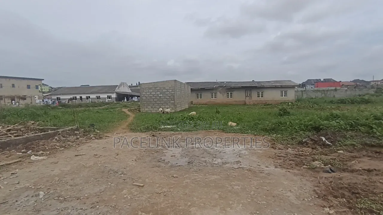Cheap Full Plot of Land for Sale!