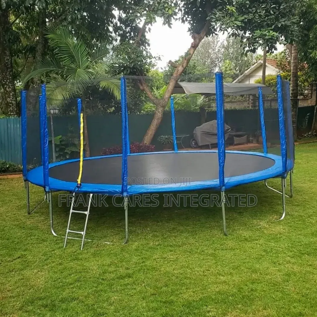 Foreign 12feet Trampoline With Climbing Ladder ( TP101)