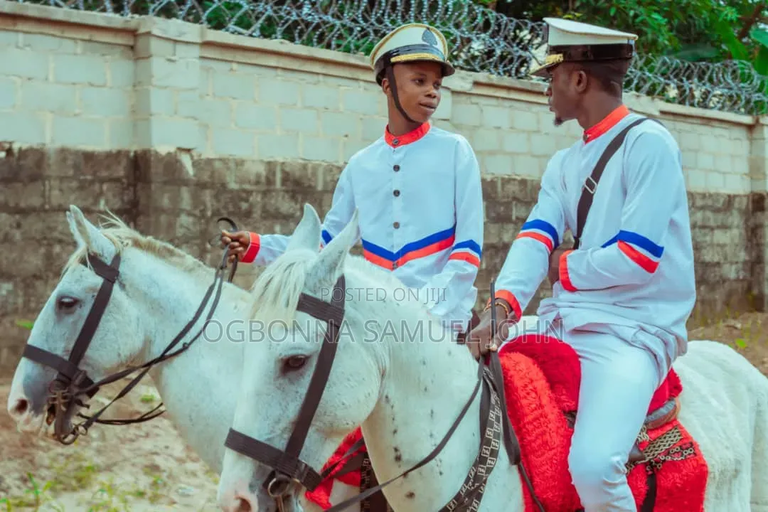 Horses and Chariot