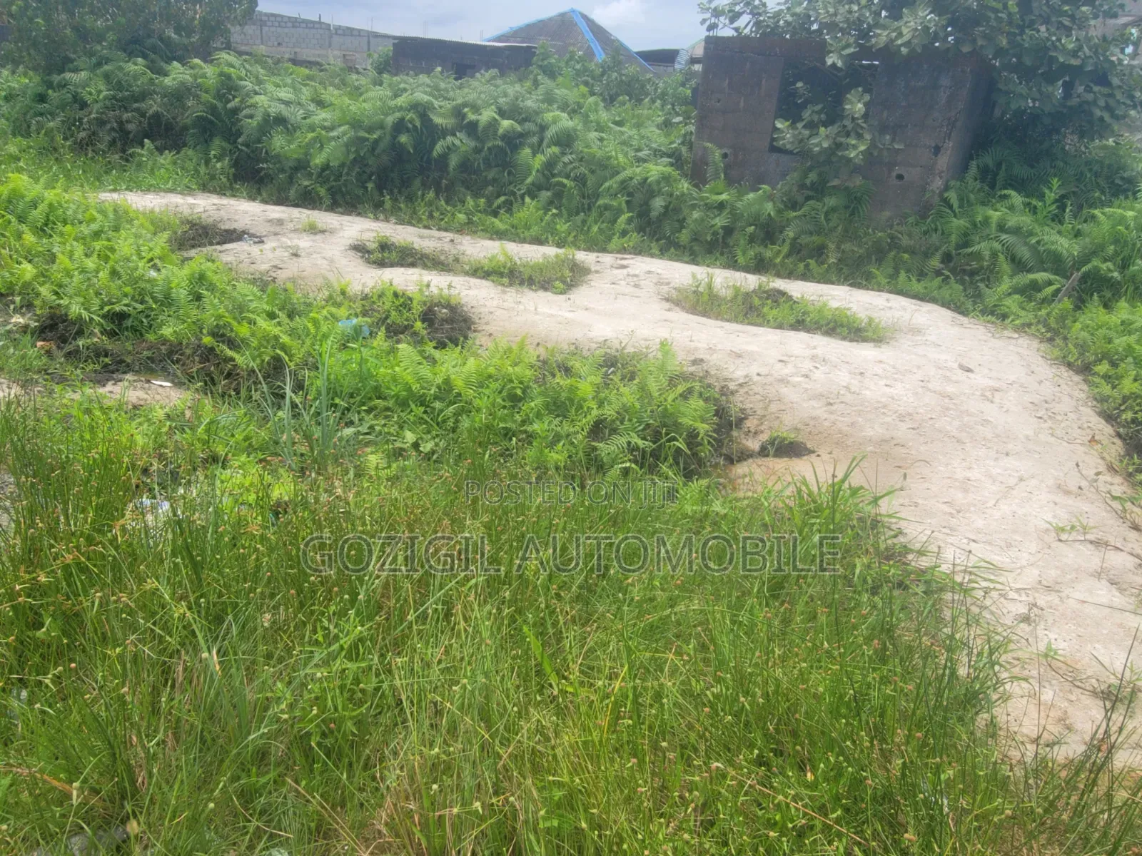 Not Up to Half Plot of Land for Sale