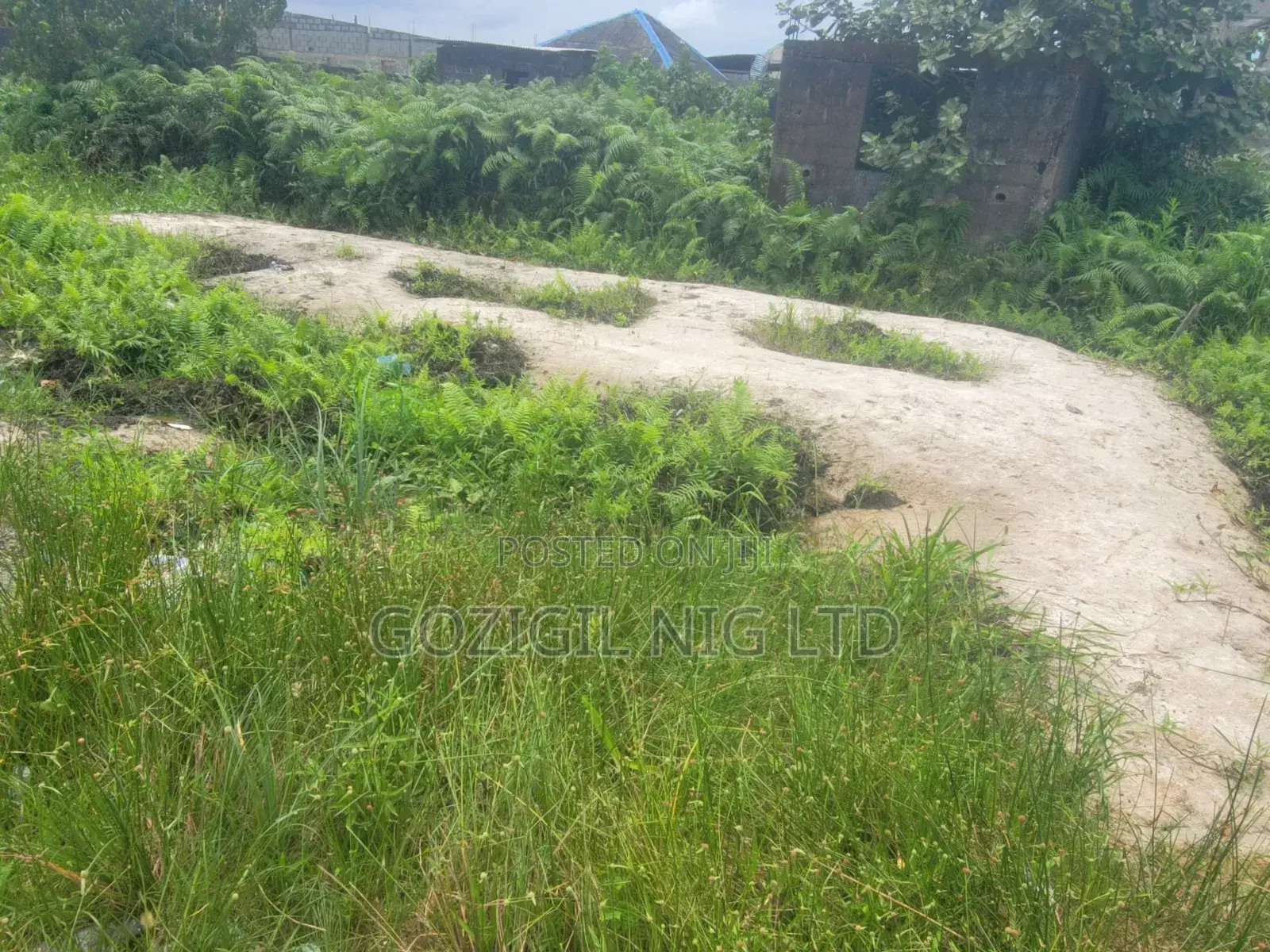 Not Up to Half Plot of Land for Sale