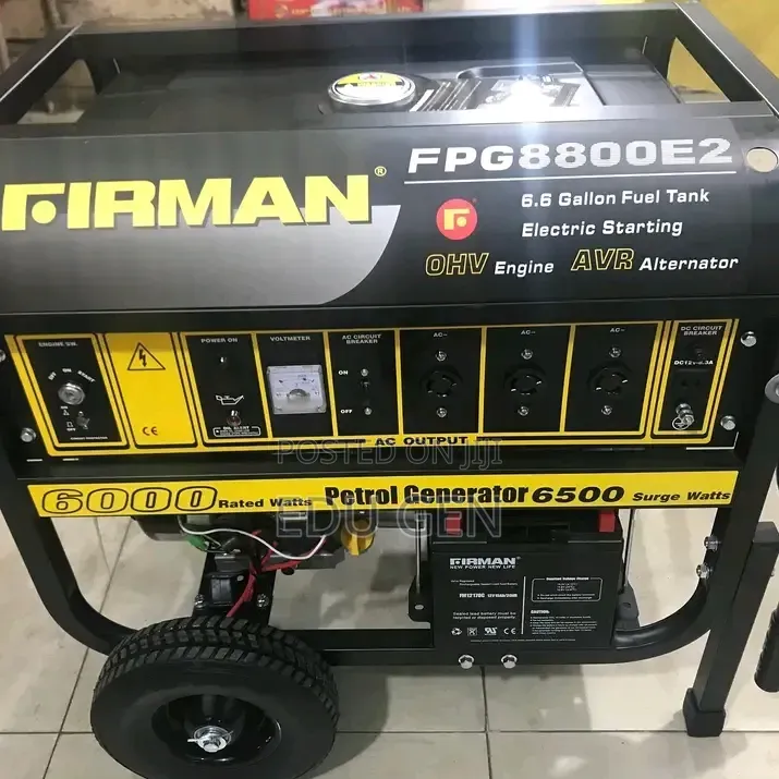 Original Firman Generator FPG8800E2 100%copper Coil