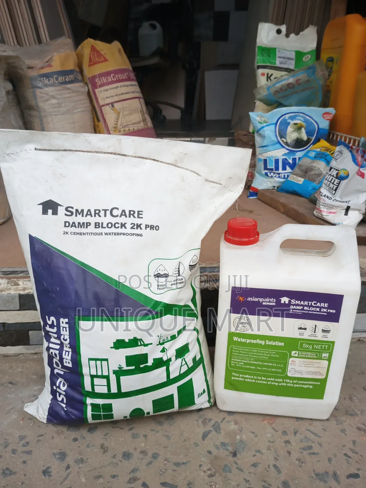 SmartCare Damp 2KPro Admixtures for Damp Area and Waterproofing Agent