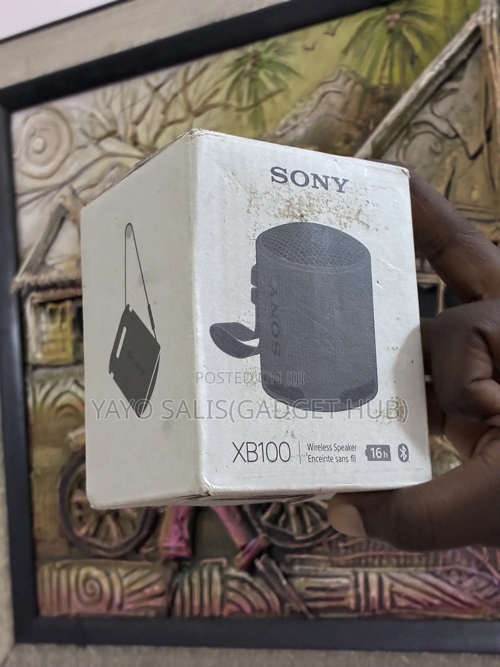 Sony Xb100
