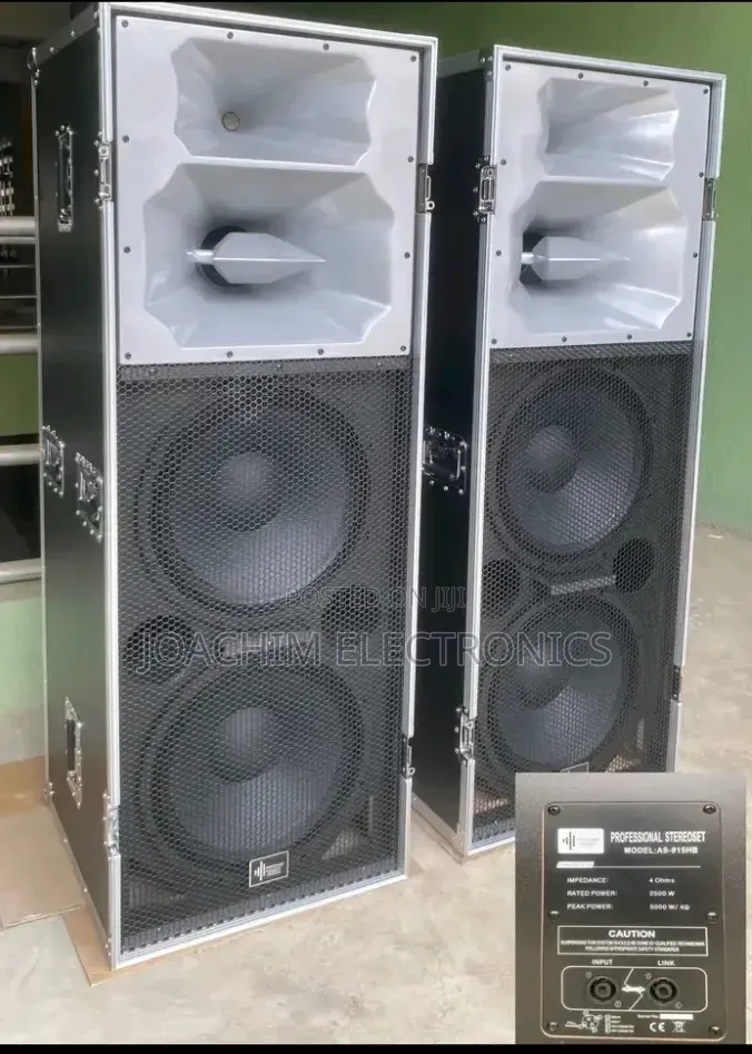 Ariz Sound Professional Big Double Speaker