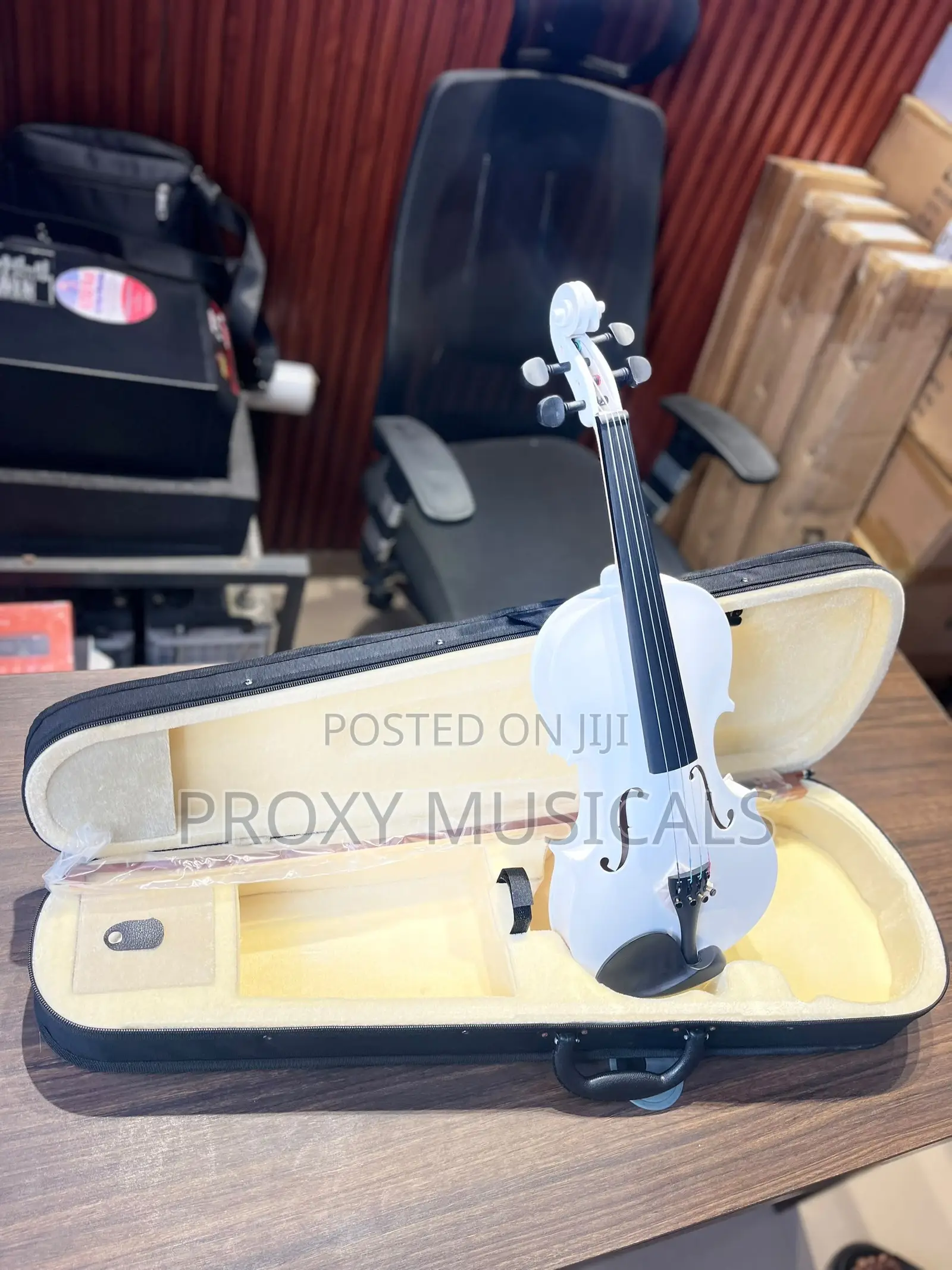 White Acoustic Violin