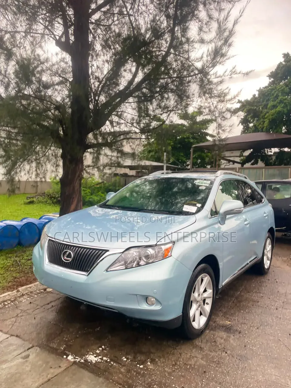Lexus RX 2010 Blue