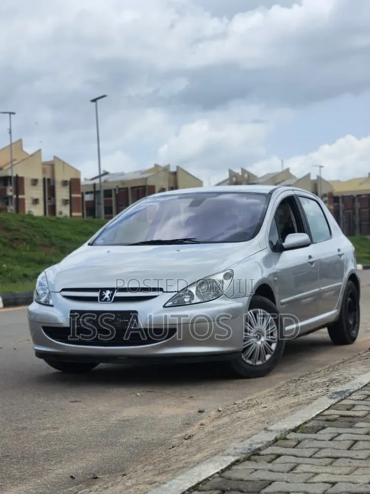 Peugeot 307 2005 Silver