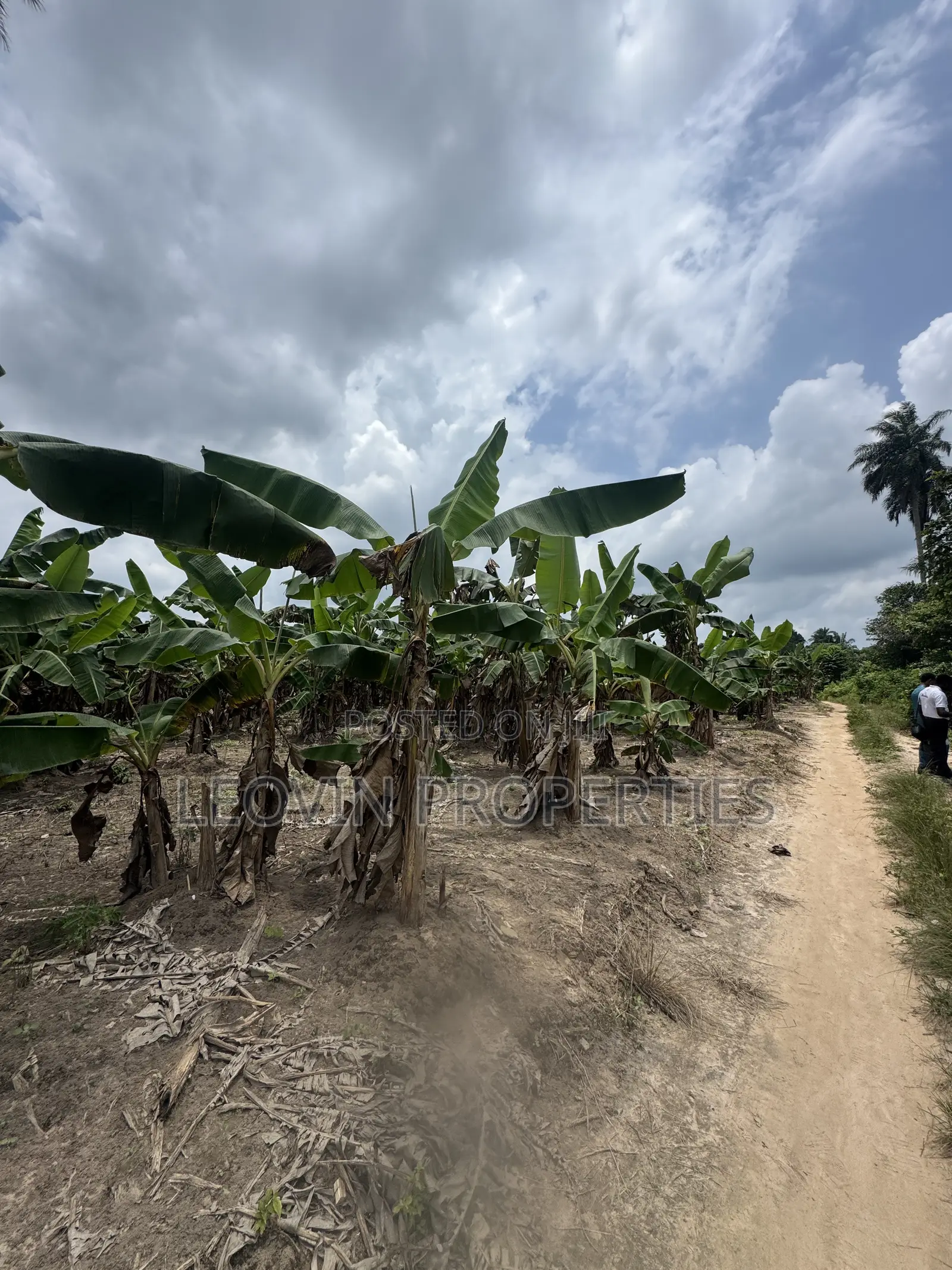 600sqm Farm Land Investment With ₦ Deposit