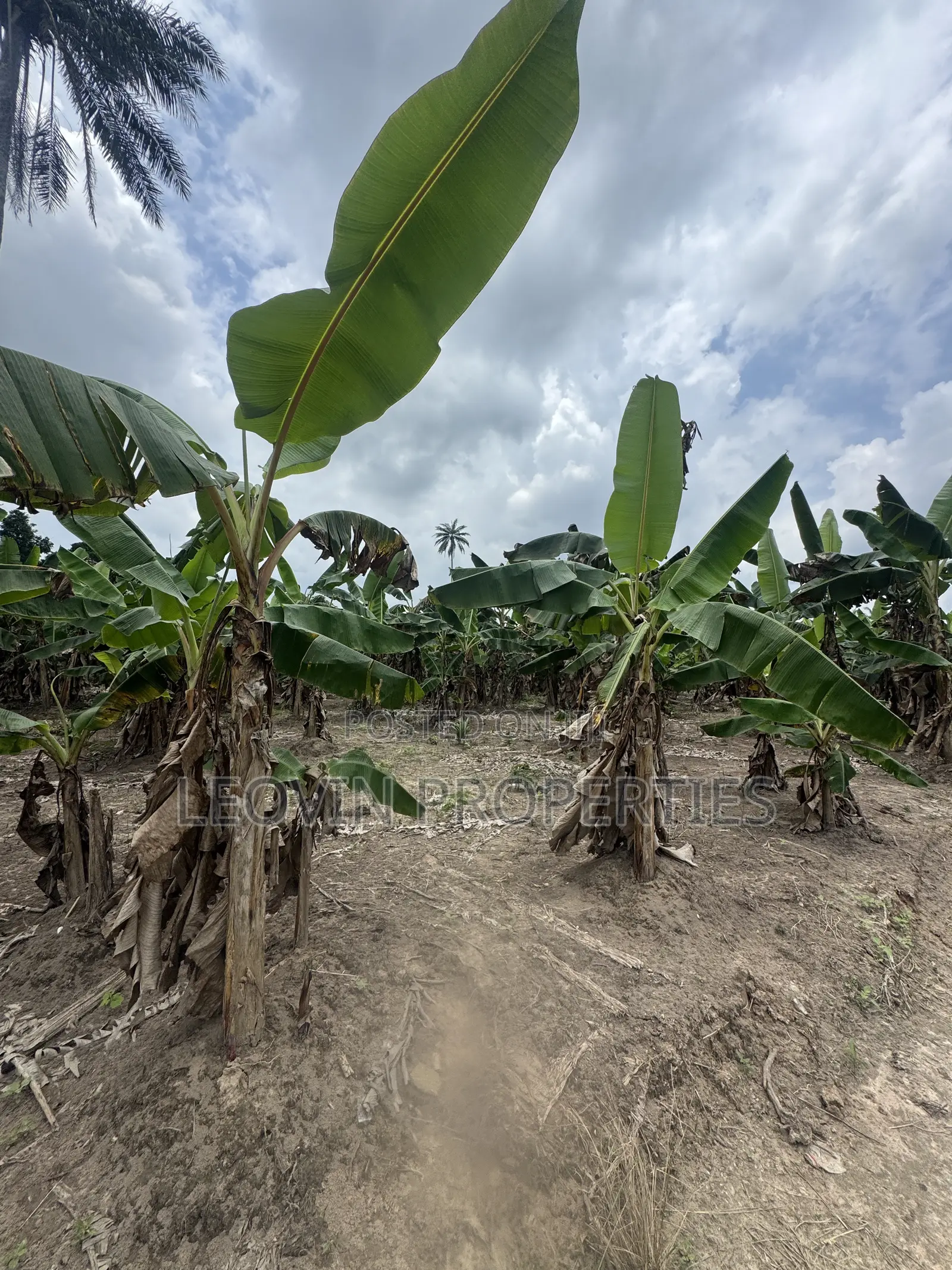 600sqm Farm Land Investment With ₦ Deposit