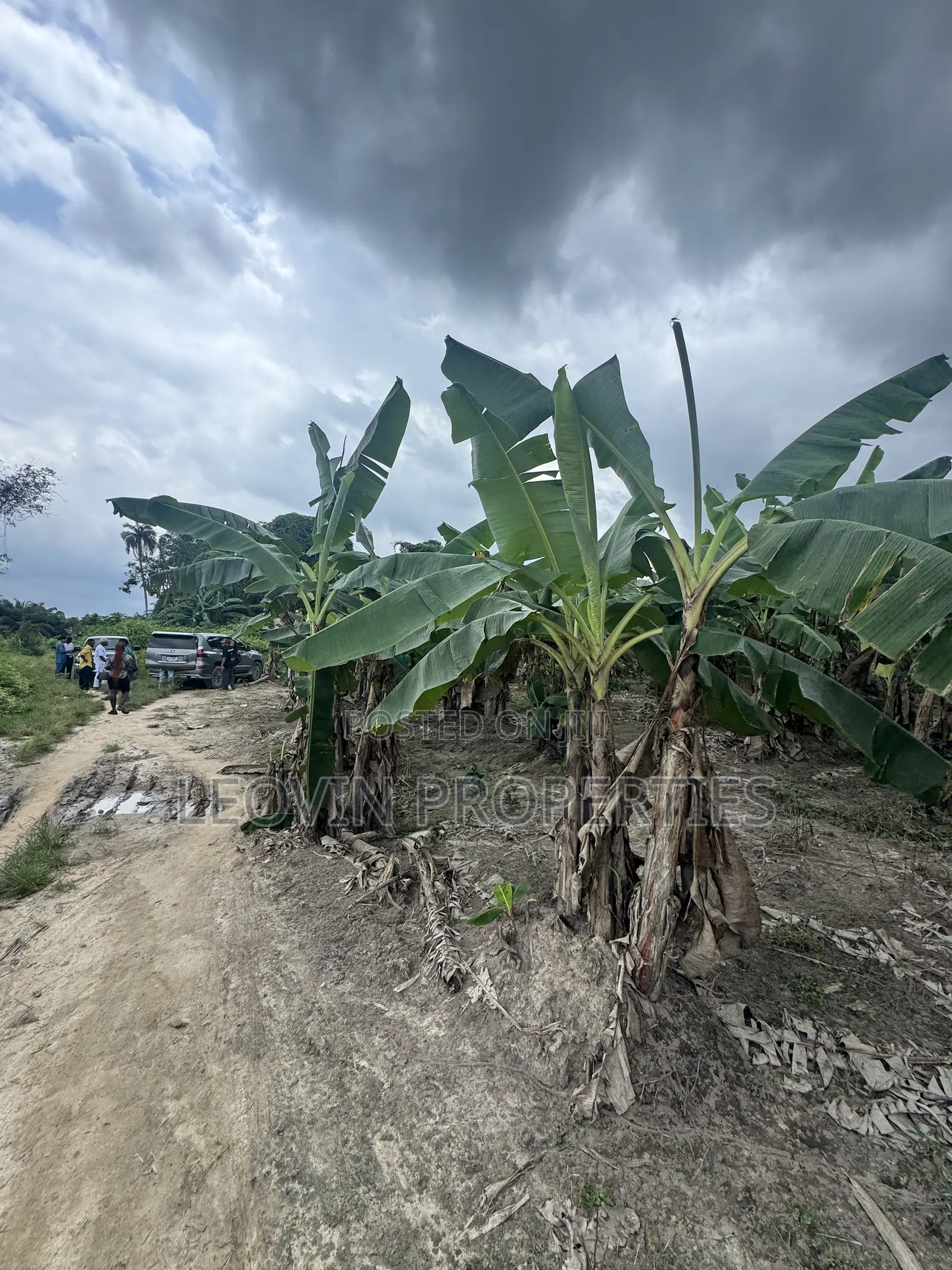 600sqm Farm Land Investment With ₦ Deposit