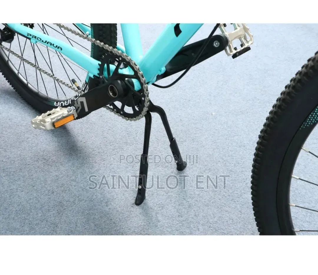 Dual Kickstand for Electric Bike and Bicycles