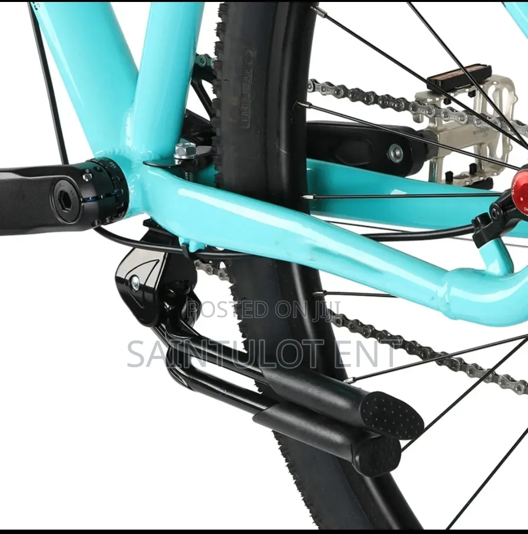 Dual Kickstand for Electric Bike and Bicycles